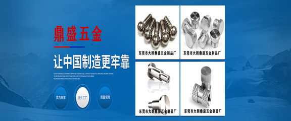 東莞市大朗鼎盛五金制品廠(chǎng)